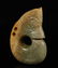 Hongshan Culture - Carved Jade Dragon - 2