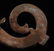 Warring State-Gold Silver on Bronze "S" Shape Dragon - 8