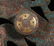 Warring State-Gold Silver on Bronze w/ Gem Dragon - 8