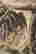 item-83056134=6