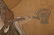Yuan Dynasty "Anonymous" Arhat Painting - 10