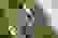 item-80596741=5