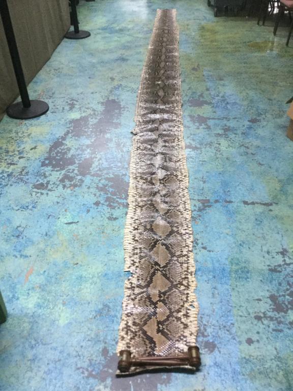 Large Python Skin: Large python skin. Measures 18.9". Perfect shape for boots, belts, etc. Beautiful!!.