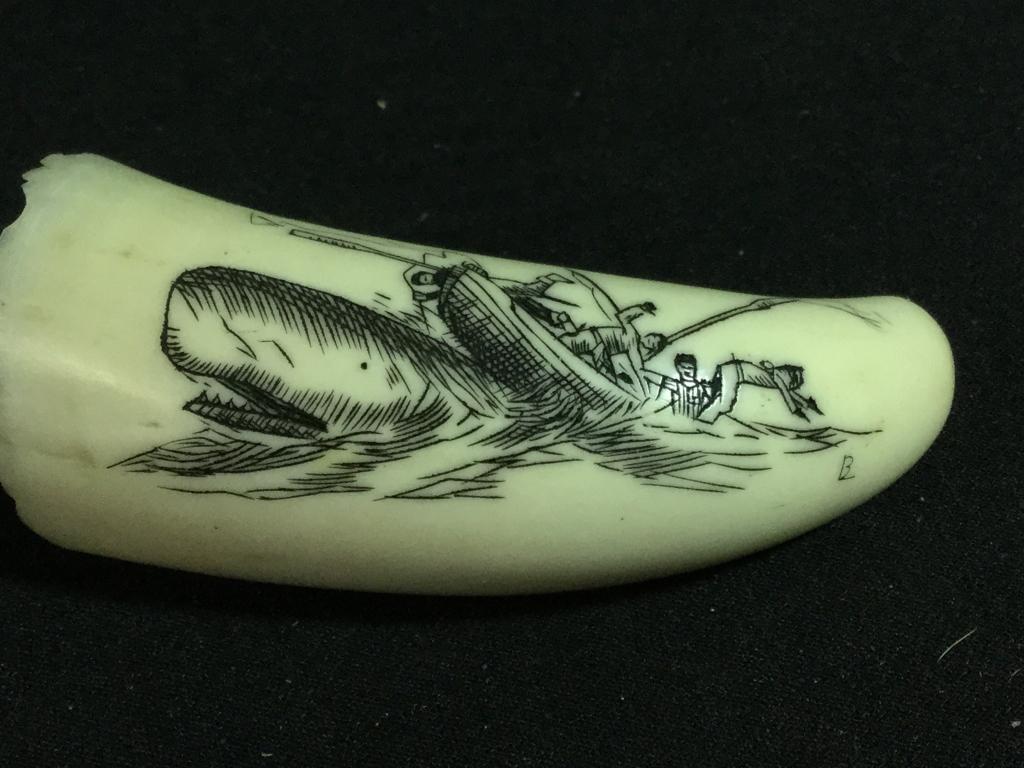 Whale Tooth: Scrimshaw tooth of whaling ship harpooning a whale and signed. Measures 2 3/4" l and in great condition. Value 150.00-250.00