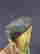 item-108704950=3