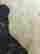 item-108705359=5