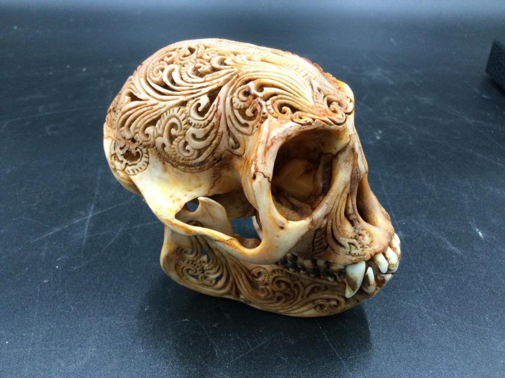 Carved Monkey Skull (1 of 4)