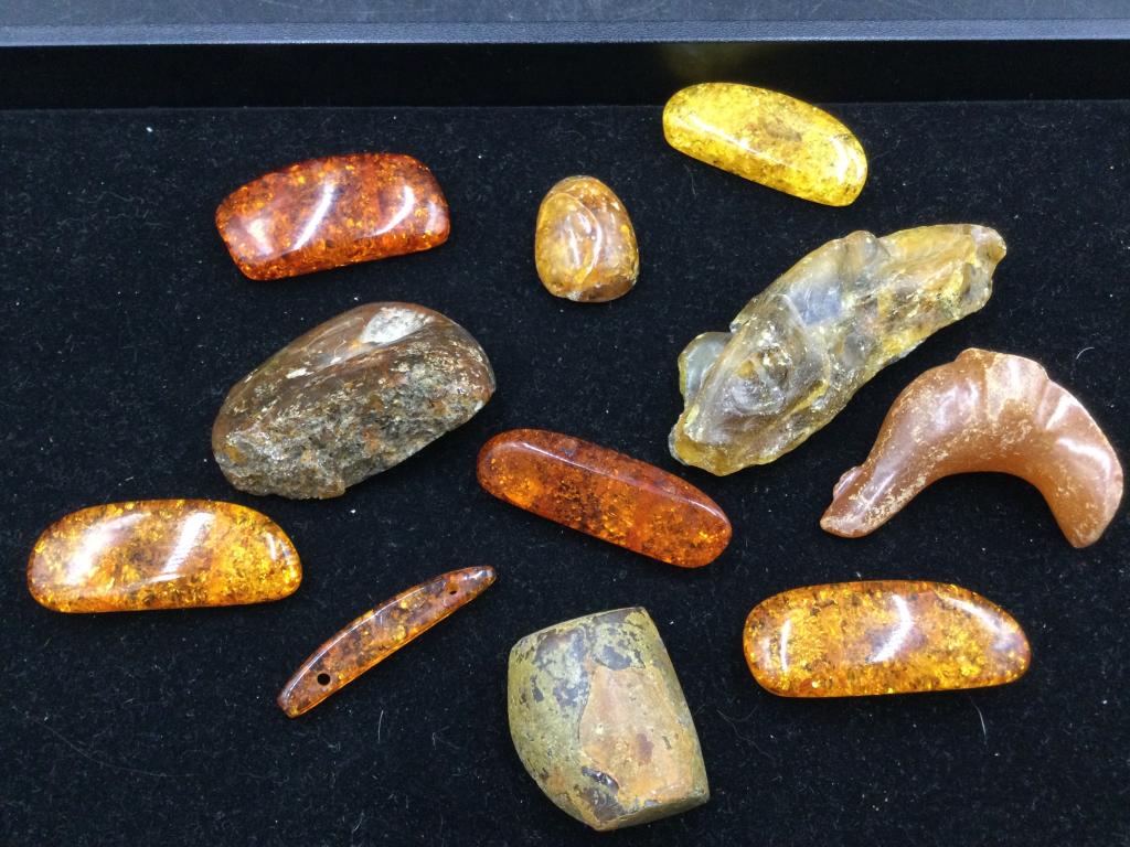 Amber Lot (1 of 5)
