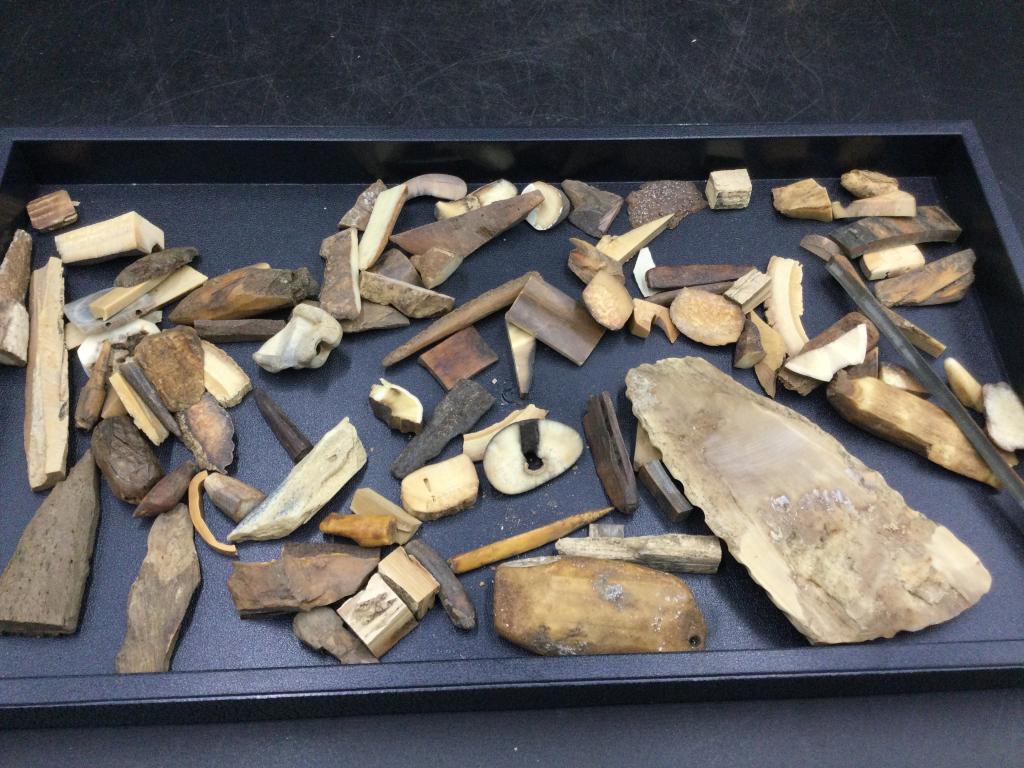 Fossilized Walrus Pieces: Huge lot of a variety of sizes that are good to carve or scrimshaw, artifacts?. The largest piece is 4 1/2" and there are some from 1" to 3". See pictures. Condition is consistent with age. Please rea