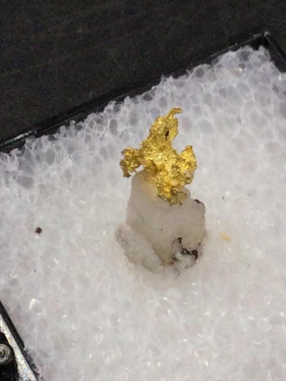 Alaskan Gold Nugget (1 of 2)