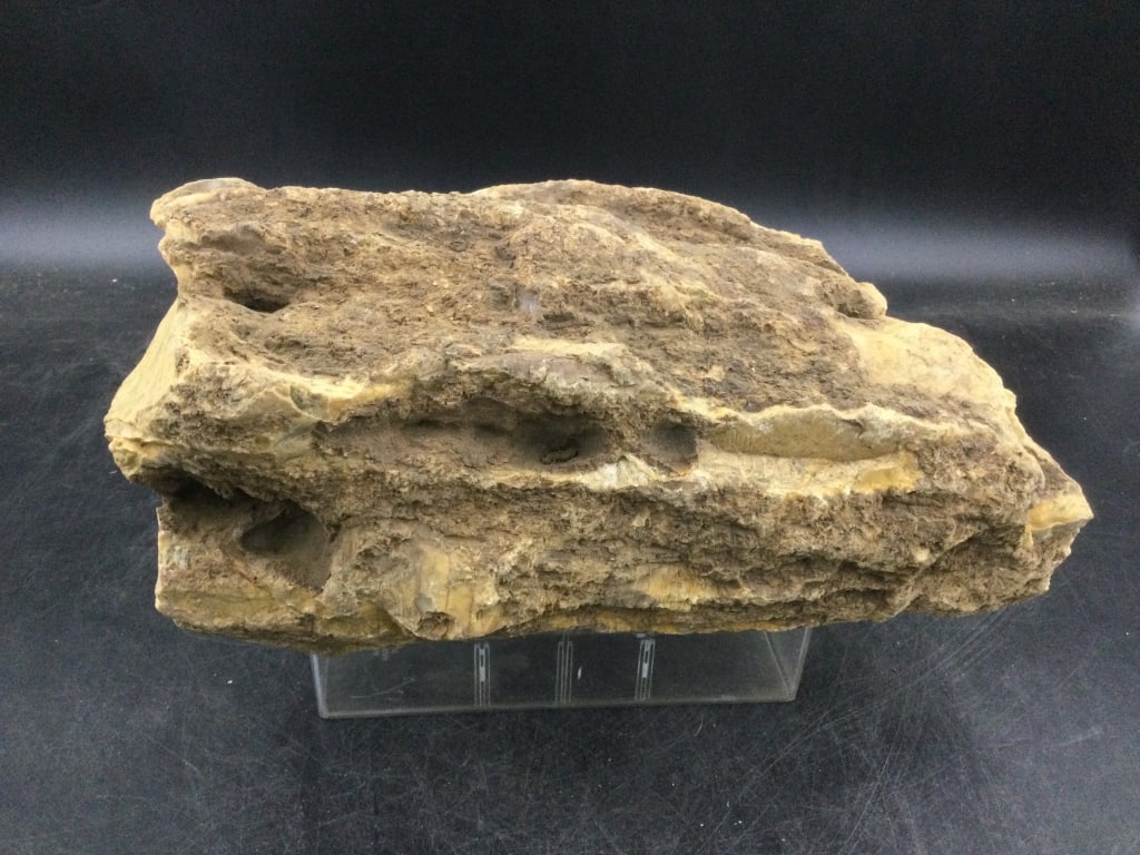 Large Amber (1 of 4)