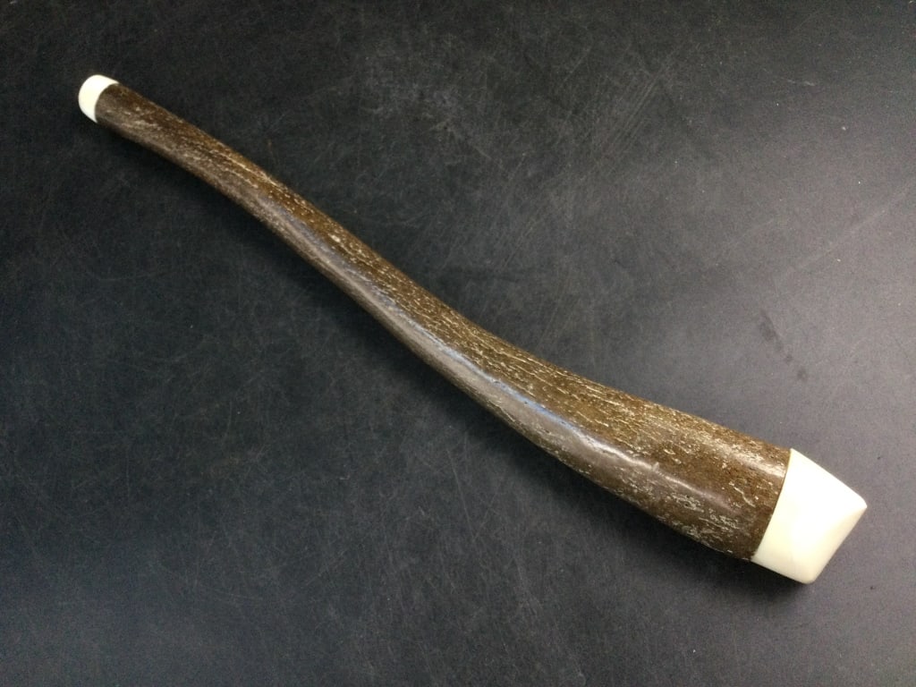 Fossilized Walrus Phallus (1 of 4)