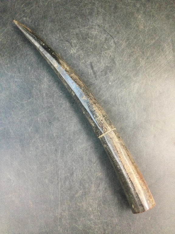 Elephant Tooth: Antique ivory tool. Measures 15"l and at widest is 4.5". Condition is consistent with and use, see pictures. No refunds given. Condition Information: It is the responsibility of the buyer to obtain al