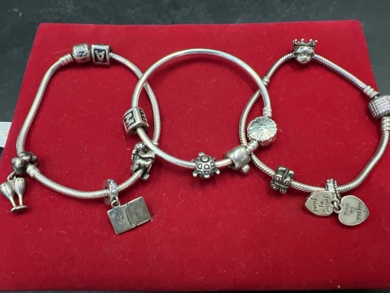 Pandora Charm Bracelets wtih Charms (1 of 4)