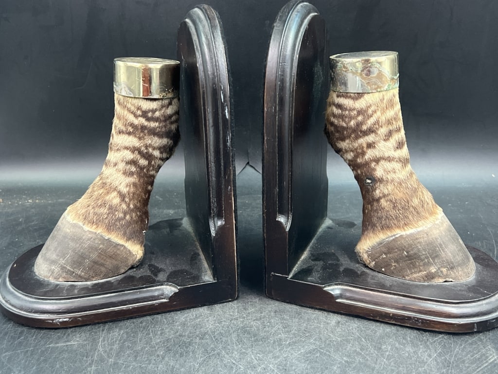 Vintage Giraffe Foot Taxidermy Bookends (1 of 3)