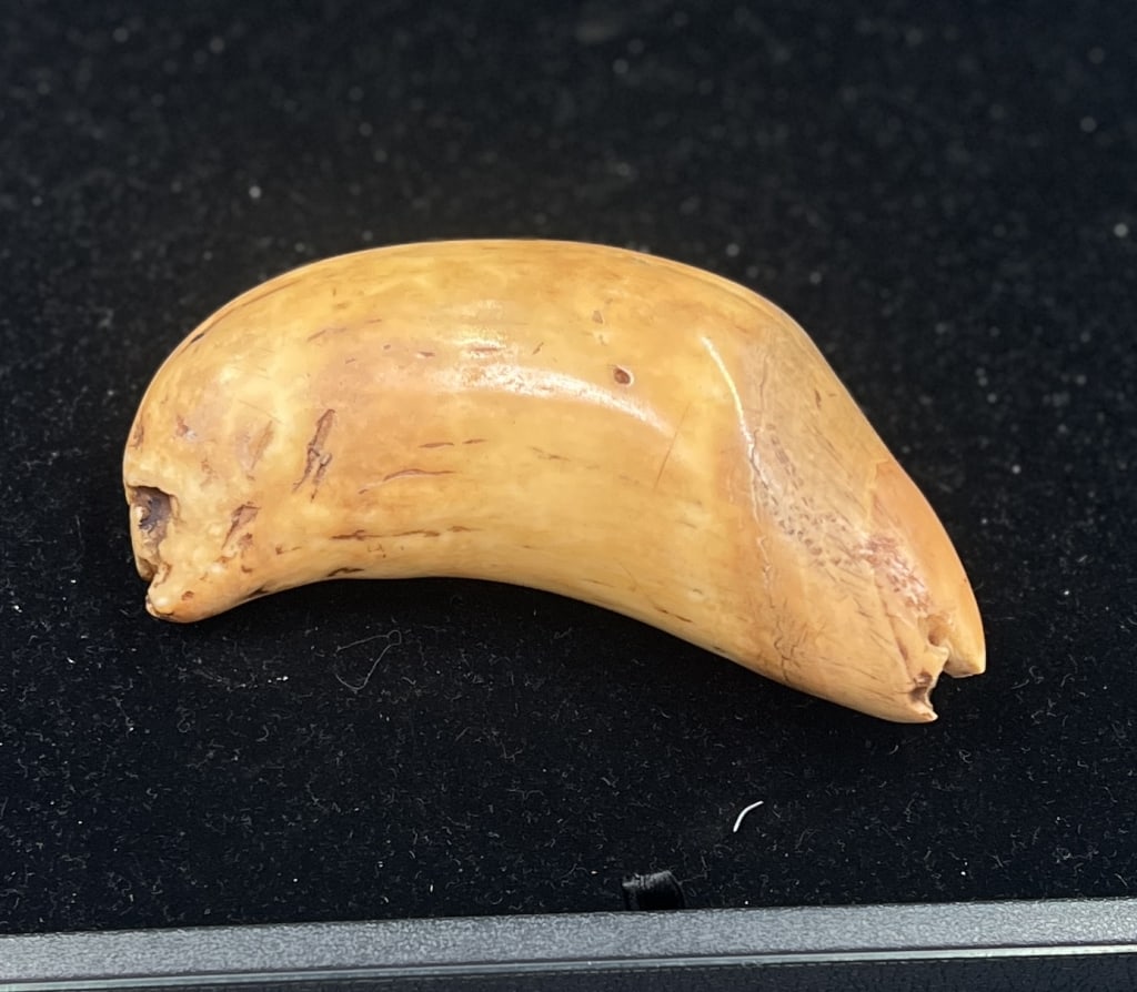 Large Polish Figian Culture Artifact: Highly valued ceremonial gift. Measures 8" and condition is consistent with age and use, see pictures. No refunds given.Condition Information: It is the responsibility of the buyer to obtain all