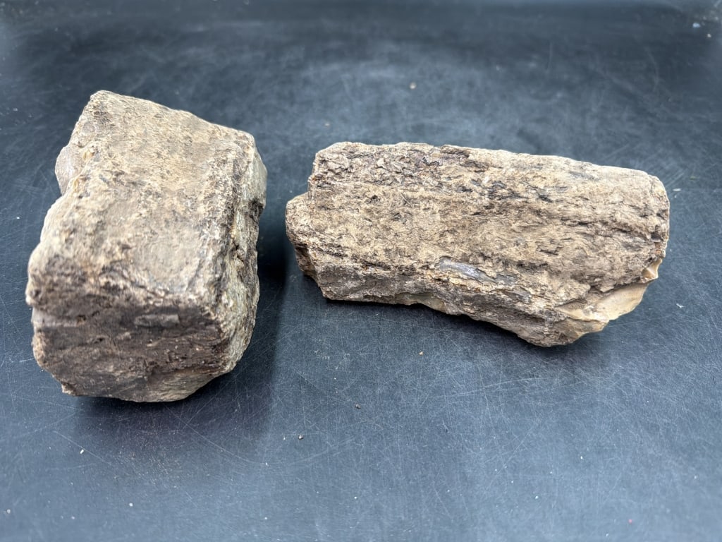 Amber in the Rough: Two pieces in this lot. One measures about 6" l x 2 1/4" h. The other one is 4.5" l x 2.5"h. Condition is good, see pictures. No refunds given.