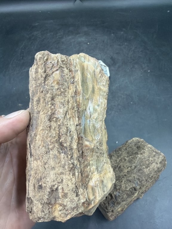 Amber in the Rough - 5
