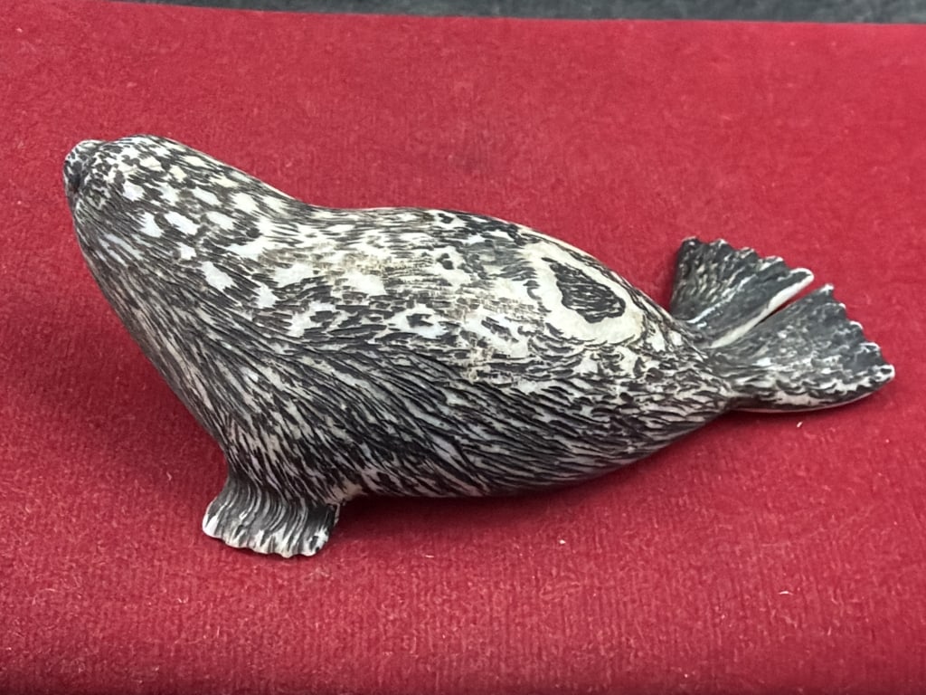 Alaskan Seal - 2