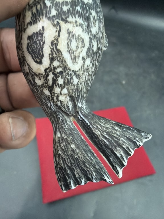 Alaskan Seal - 5