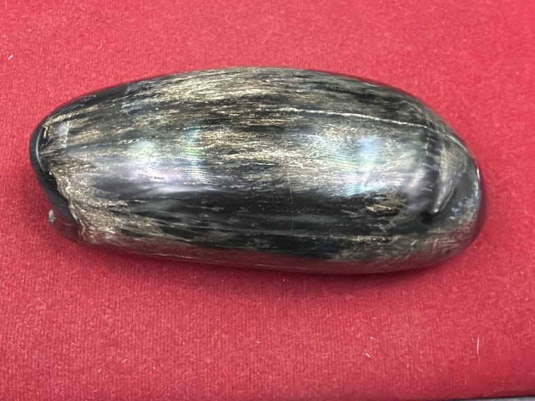 Fossil Tooth (1 of 5)