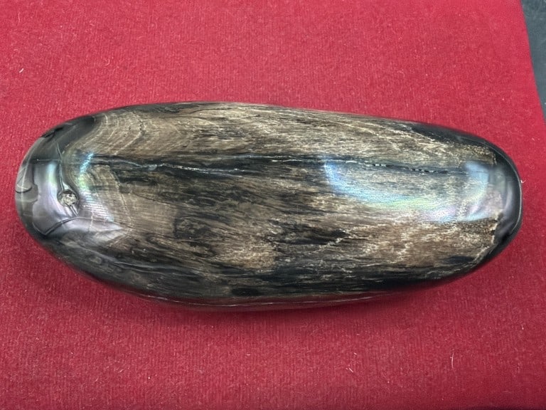Fossil Tooth - 2