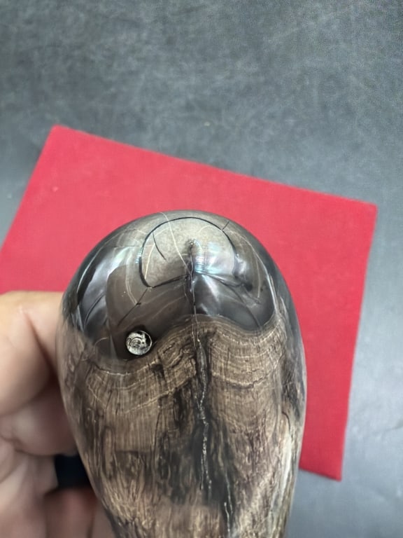 Fossil Tooth - 4