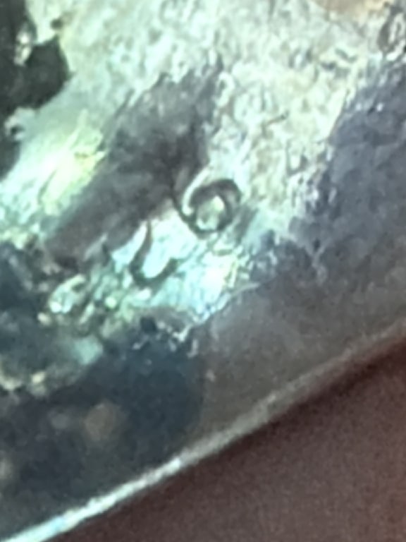 Sterling Skull Ring - 5
