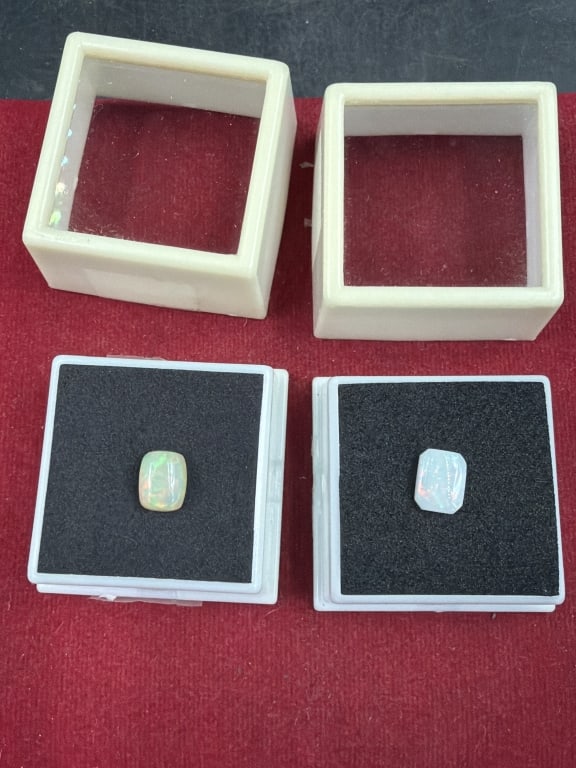 Opals (1 of 5)