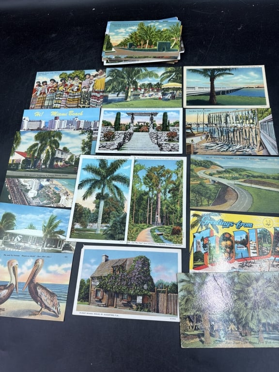 Vintage Postcards: Total of 50 in this lot and all are older Florida postcards. See pictures, condition is consistent with age and use, but appear good. No refunds given.