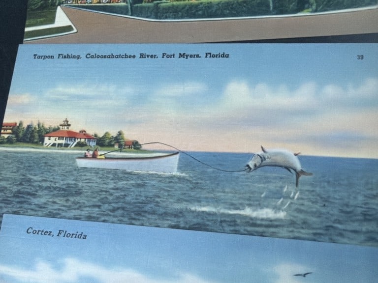Vintage Postcards - 4