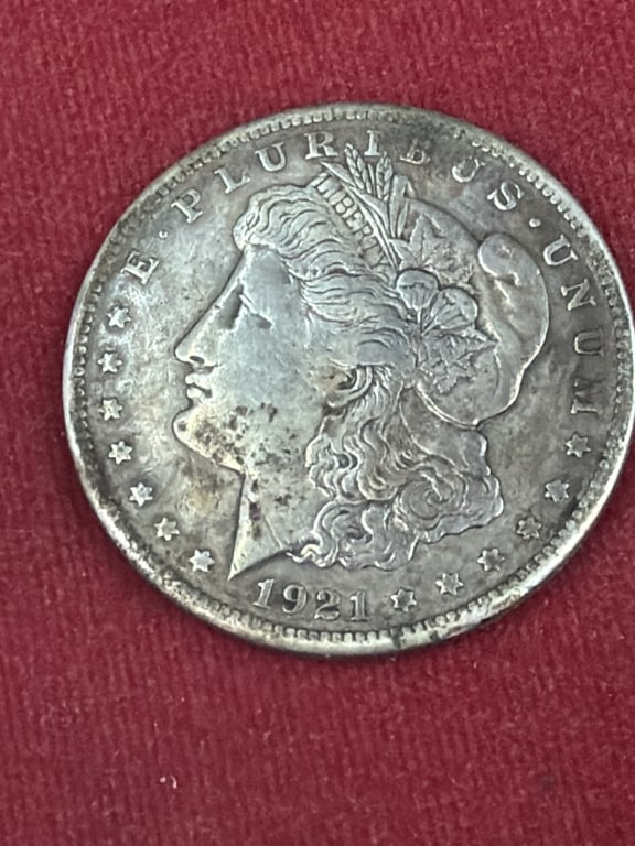 Morgan Silver Dollars - 3