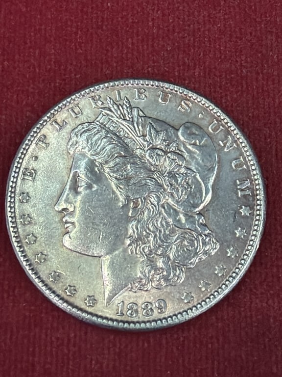 Morgan Silver Dollars - 5