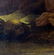 Italian painter from the 17th century. Mary Magdalene - 4