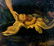 Painter from the 18th century. Moses' finding. 36x28, - 2