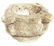 White marble mortar 16th century. H Cm 18 - 3
