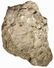 Calcareous with fossil imprints. Cm 88x26 - 2