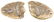 Fish fossil. Lenght cm 18. - 2