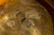 Bowl with golden silver lid ? Vermeil. Argento 800. - 3