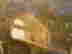 item-83741044=3