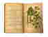 item-130997284=4