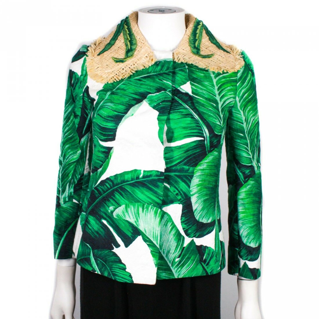 Dolce & Gabbana - Banana Leaf Jacket Straw Collar US 00 (1 of 4)