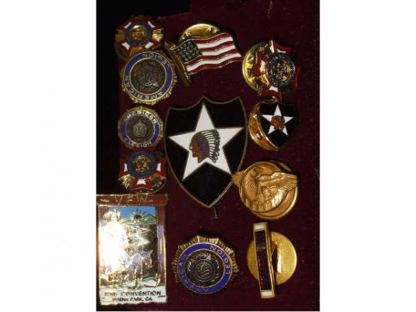 12 Assorted Lapel Pins