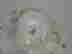 item-78486080=6