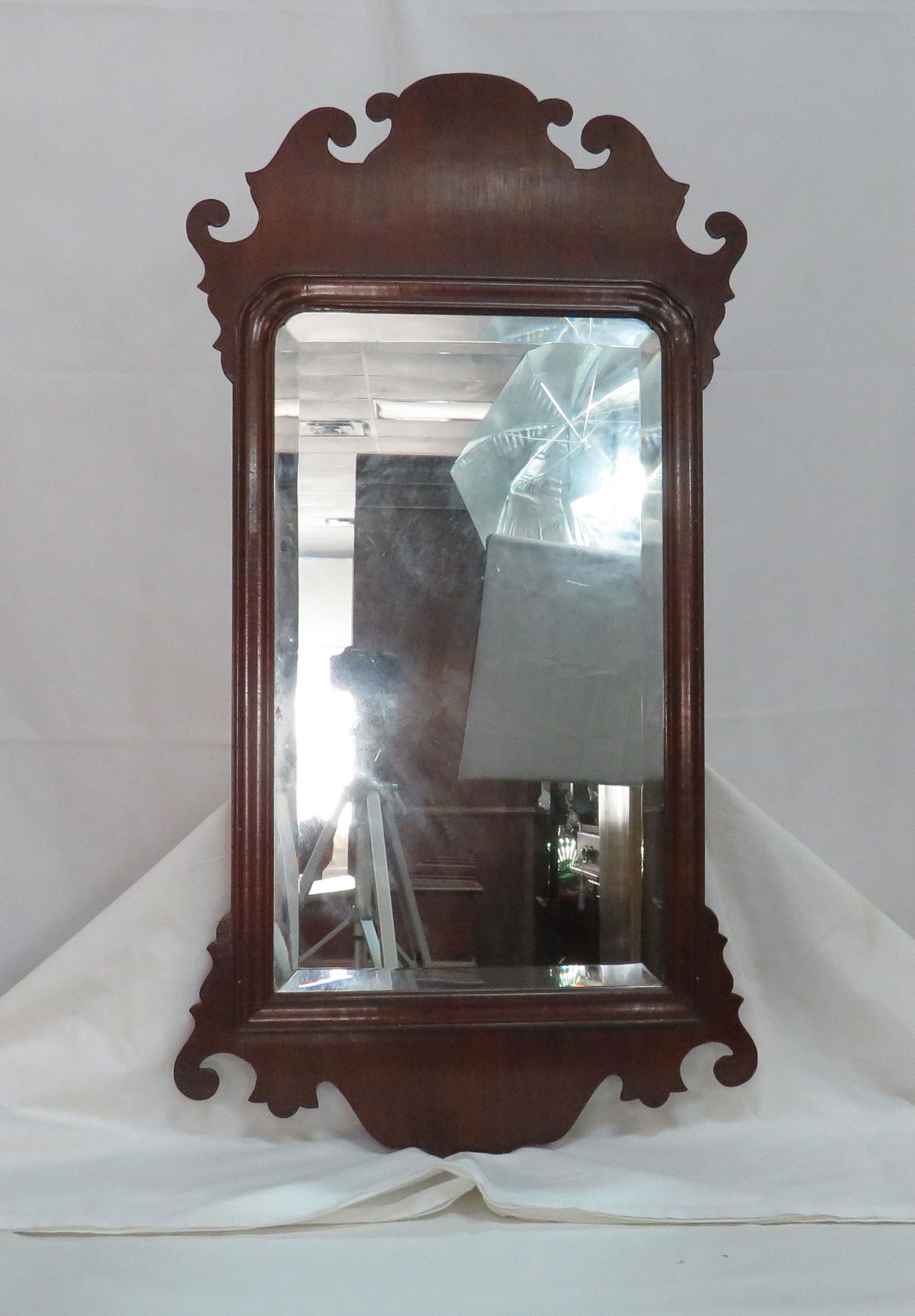 Williamsburg Restoration CW-LG 9 Mirror (1 of 3)