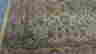 item-129096723=2