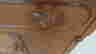 item-129096813=4