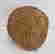 item-129096850=3