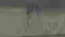 item-129096864=4