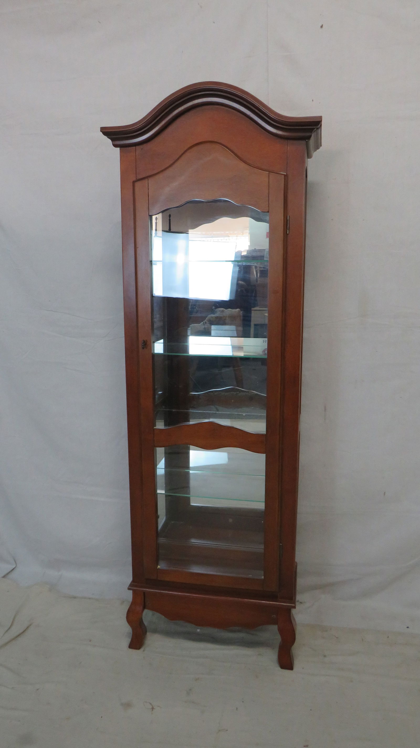 Petite Curio Cabinet (1 of 2)